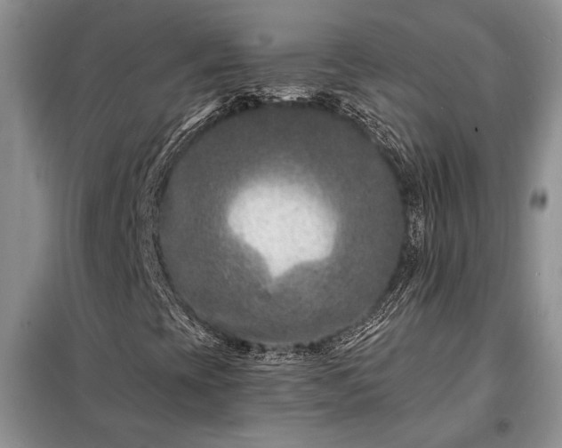 X0000098201393200805011136