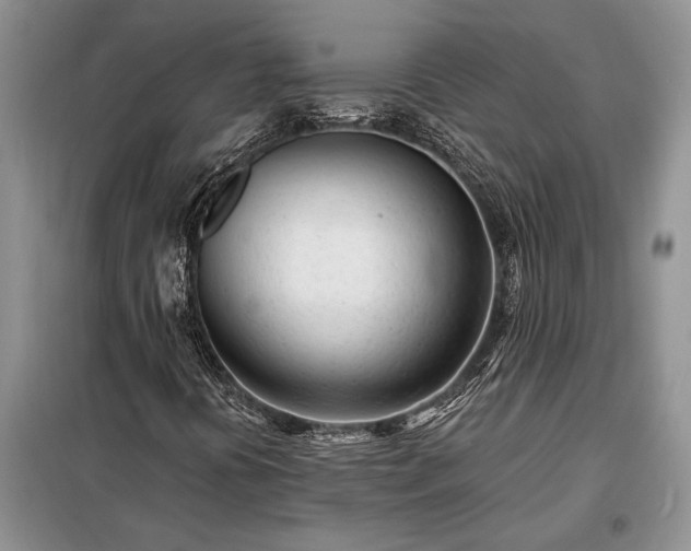 X0000098201394200805011136