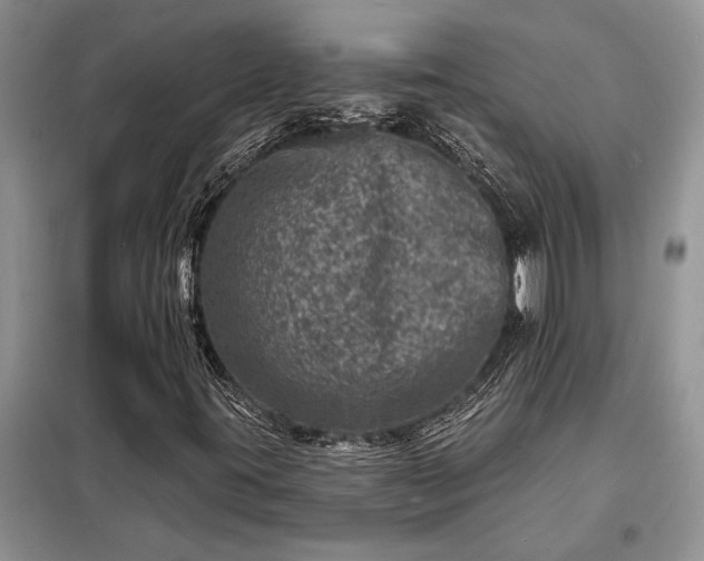 X0000098201395200805011136