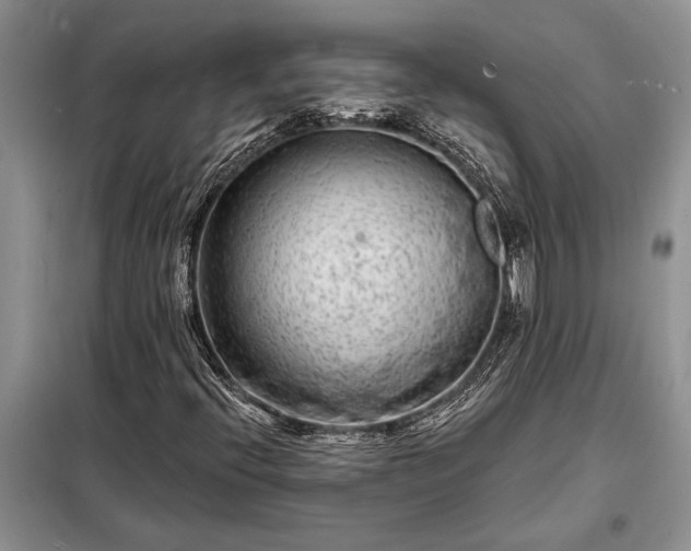 X0000098201396200805011136