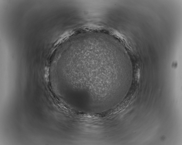 X0000098201397200805011136