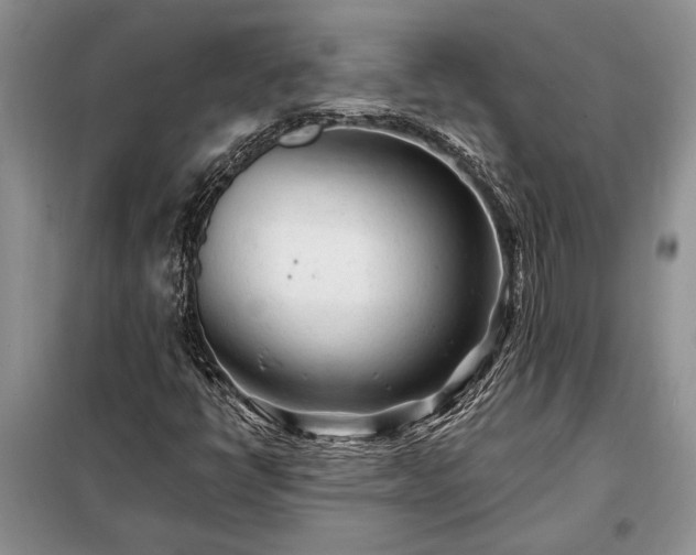 X0000098201398200805011136
