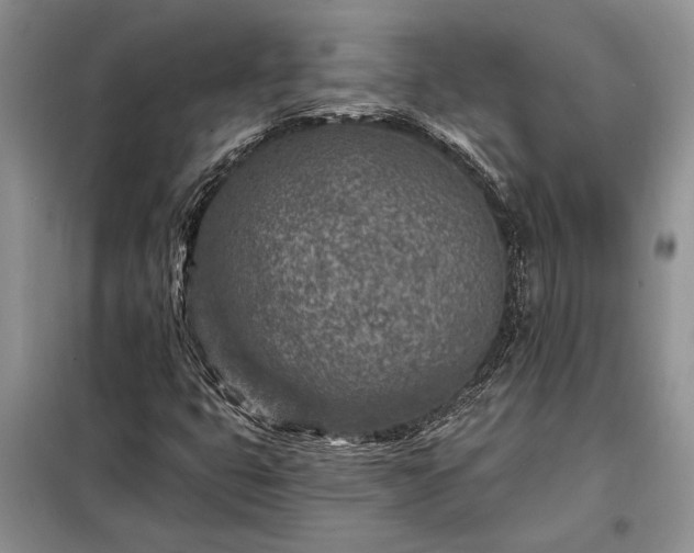 X0000098201399200805011136