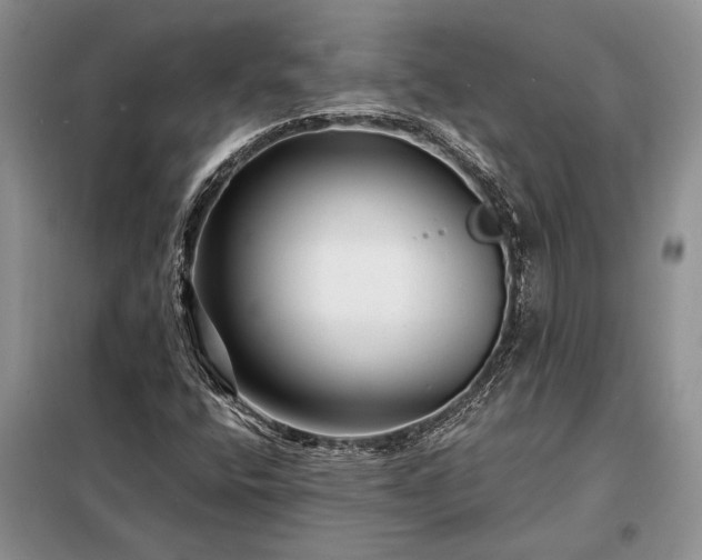 X0000098201400200805011136