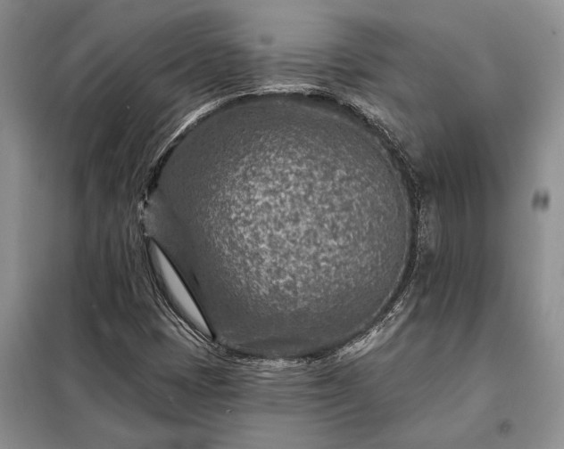 X0000098201401200805011136