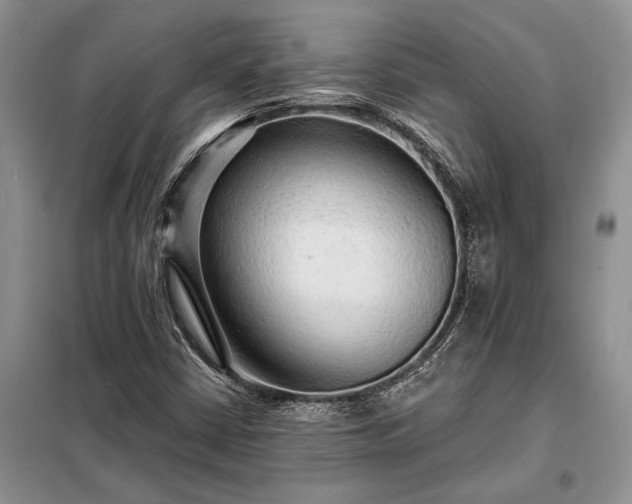 X0000098201402200805011136