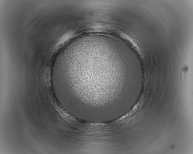 X0000098201403200805011136