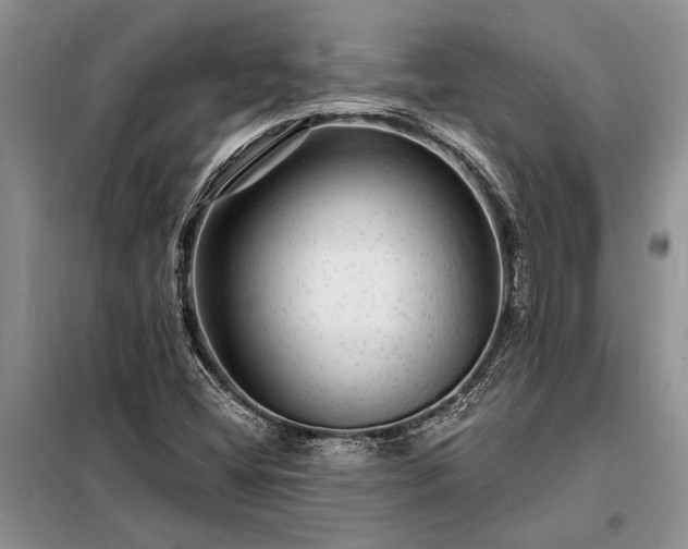 X0000098201404200805011136