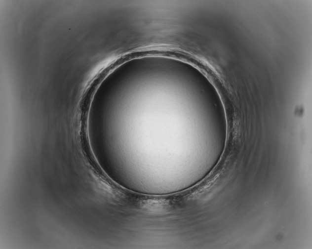 X0000098201406200805011136