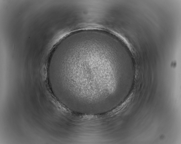 X0000098201407200805011136