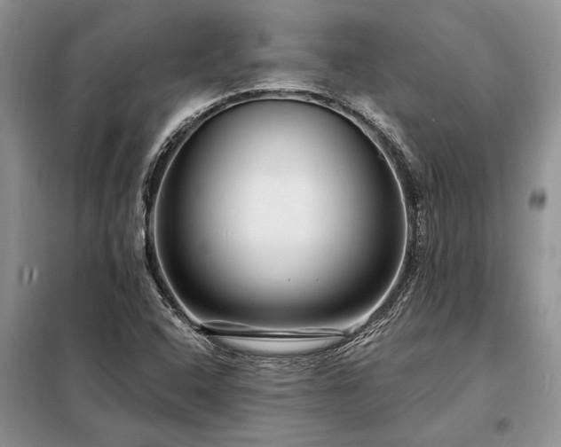 X0000098201408200805011136