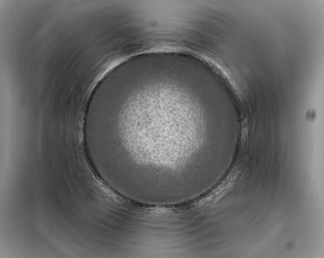 X0000098201409200805011136