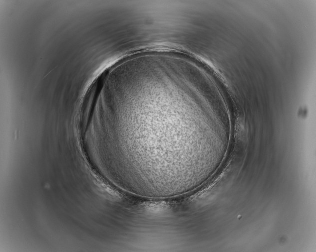 X0000098201410200805011136