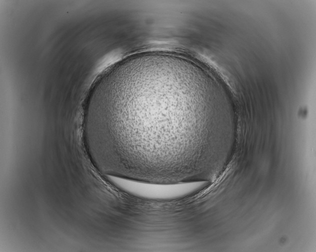 X0000098201411200805011136