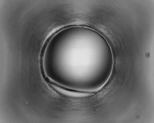 X0000098201412200805011136