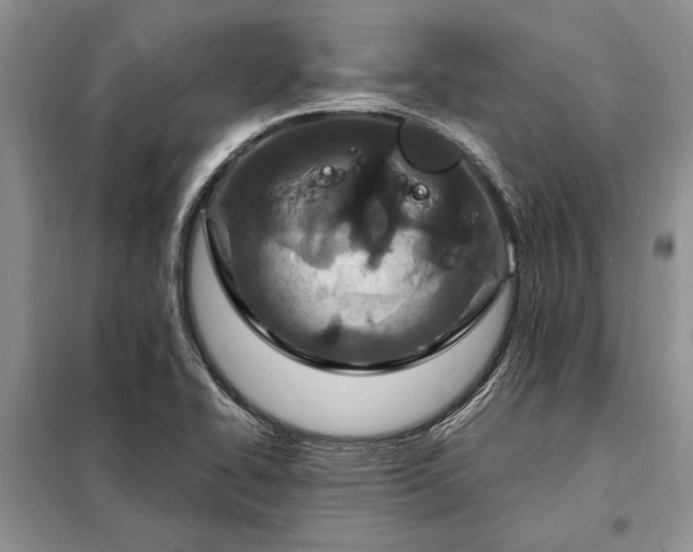 X0000098201414200805011136