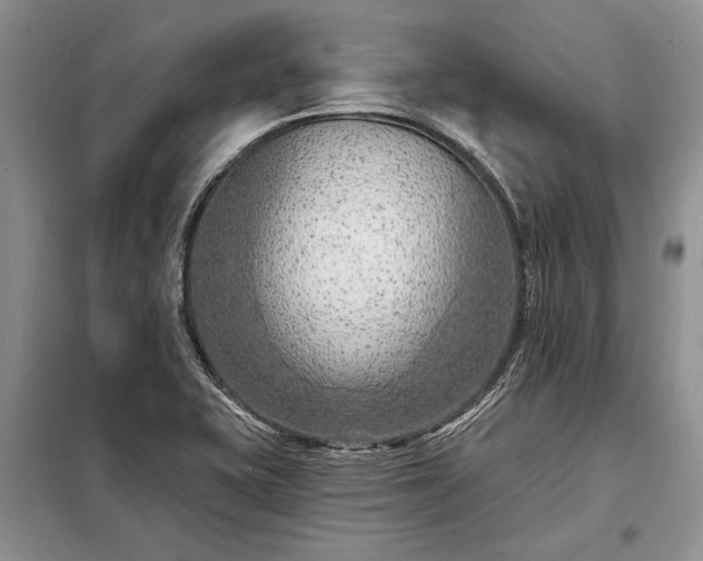 X0000098201415200805011136