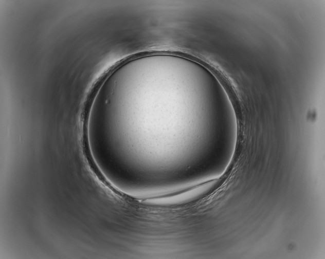 X0000098201416200805011136