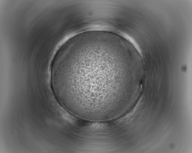 X0000098201419200805011136