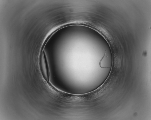 X0000098201420200805011136