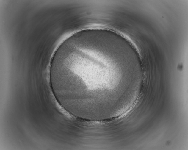 X0000098201421200805011136