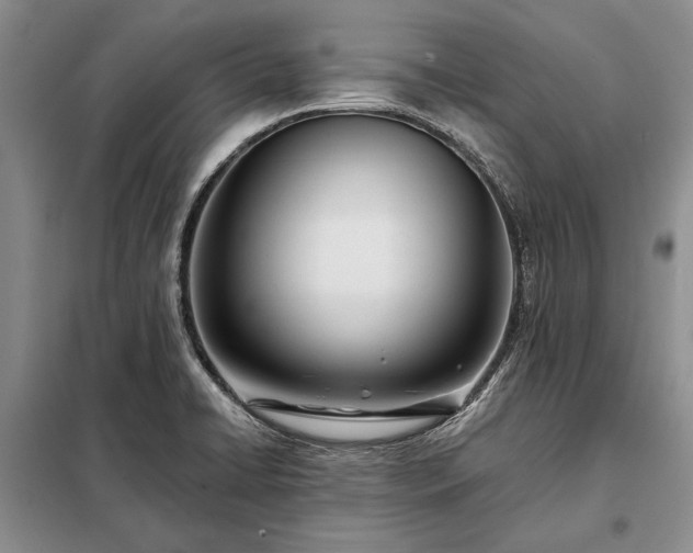 X0000098201422200805011136