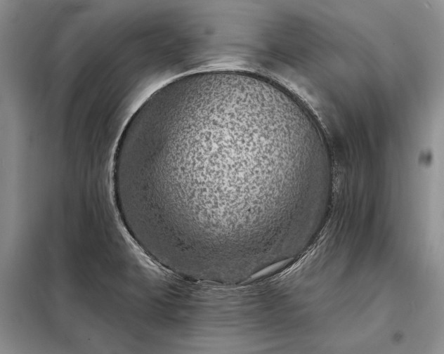X0000098201423200805011136