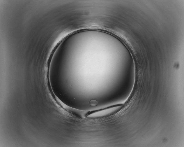 X0000098201424200805011136