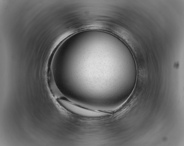 X0000098201426200805011136