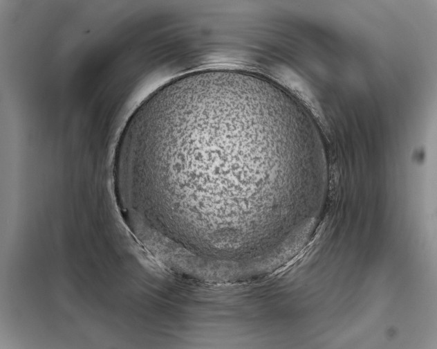 X0000098201427200805011136