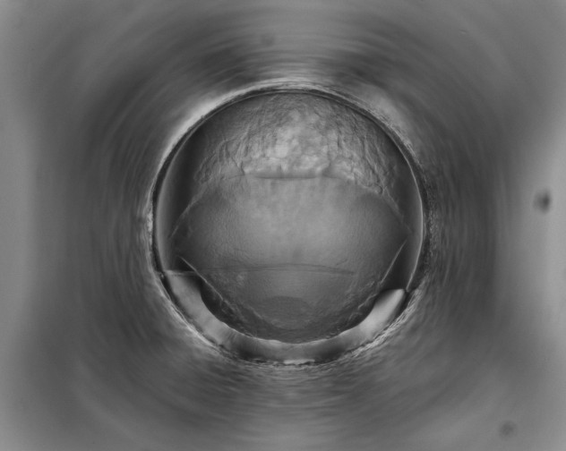 X0000098201428200805011136