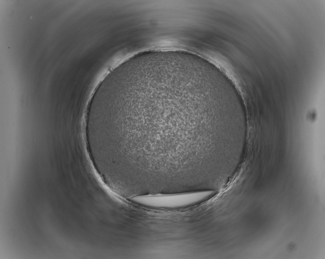 X0000098201429200805011136