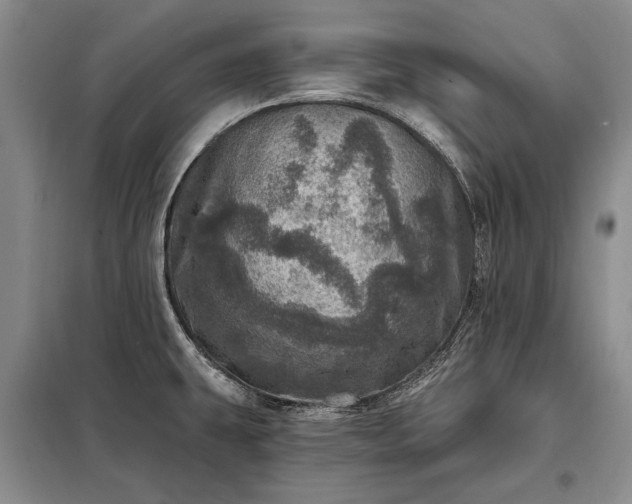 X0000098201431200805011136