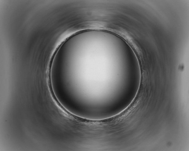 X0000098201432200805011136