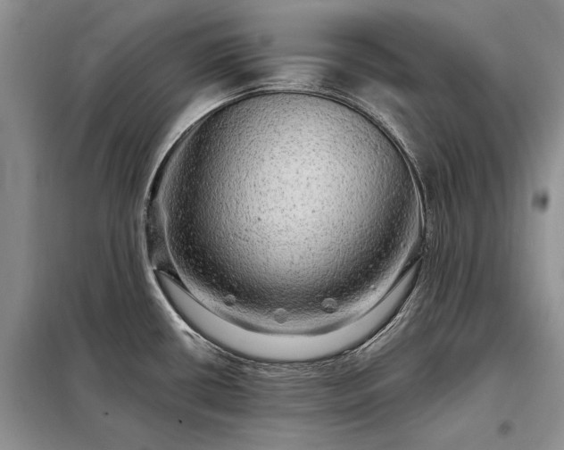 X0000098201434200805011136