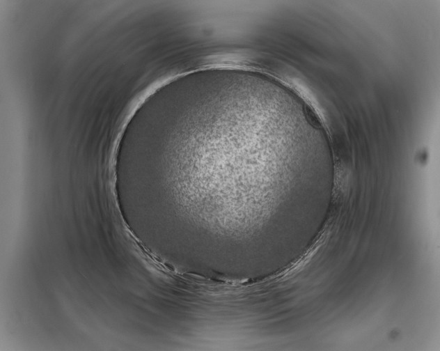 X0000098201435200805011136
