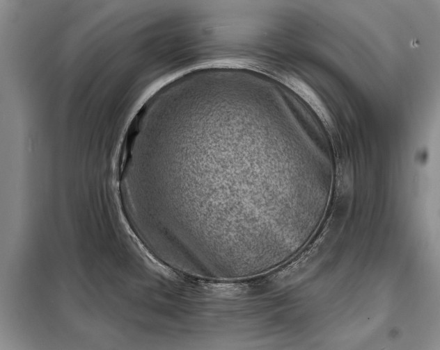 X0000098201436200805011136