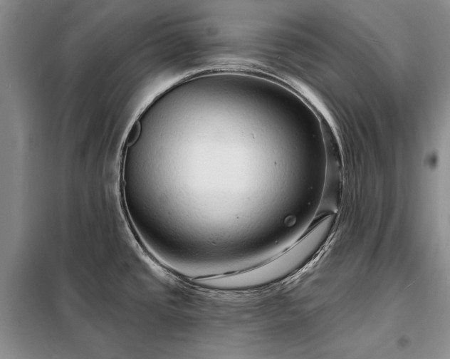 X0000098201437200805011136