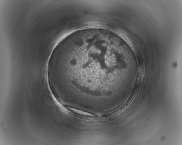 X0000098201439200805011136