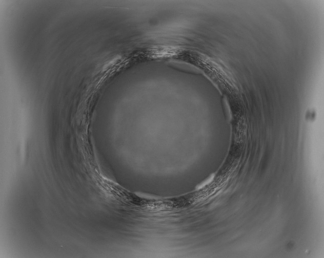 X0000098201441200805011136