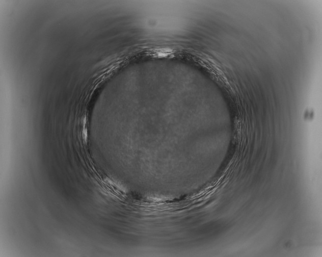 X0000098201442200805011136