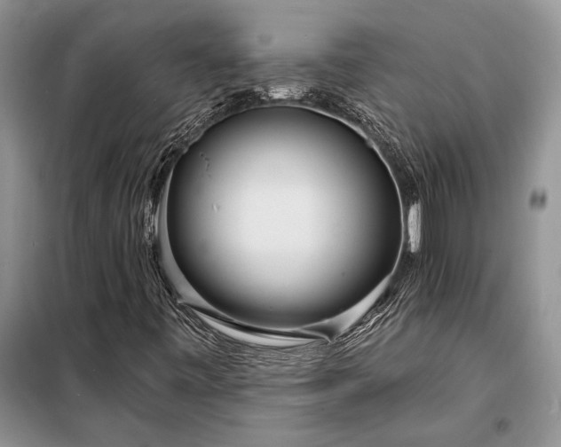 X0000098201443200805011136