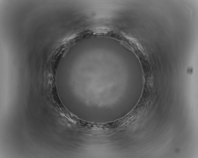 X0000098201445200805011136
