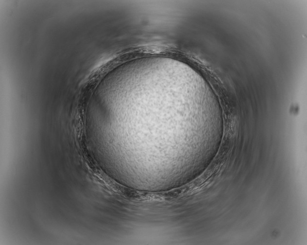 X0000098201446200805011136