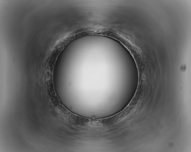 X0000098201447200805011136