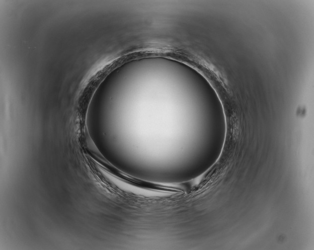 X0000098201448200805011136