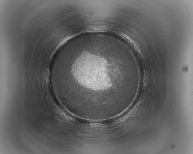 X0000098201449200805011136