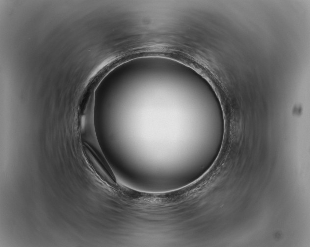 X0000098201450200805011136