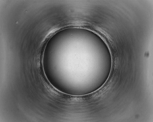 X0000098201451200805011136