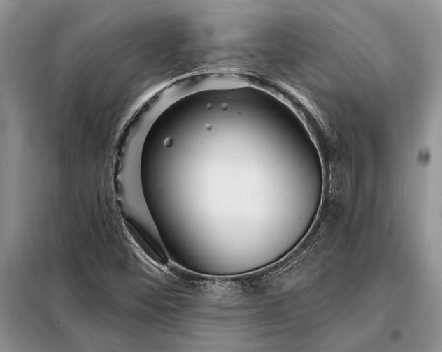 X0000098201452200805011136